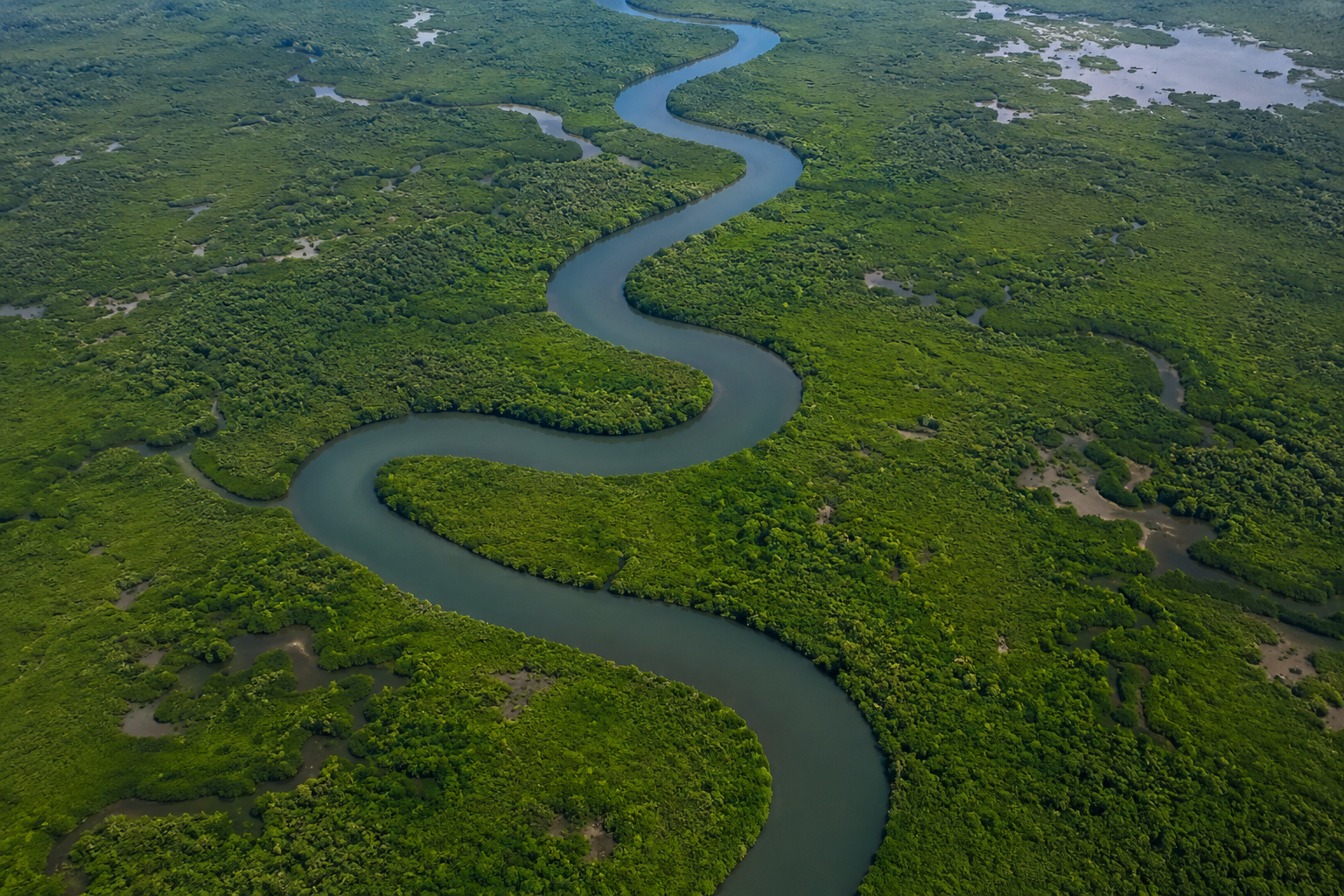 Vista a&eacute;rea de &aacute;rea de manguezal e rio