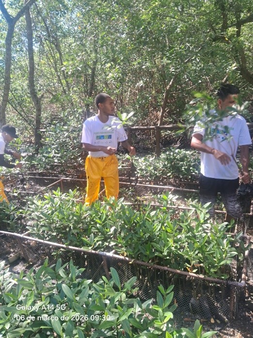 Foto do projeto Plante para Neutralizar